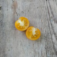 Pomodoro ciliegino Clementine (Solanum lycopersicum)
