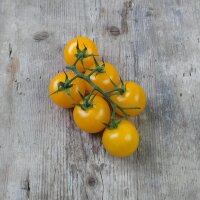 Pomodoro ciliegino Cytrynek Groniasty (Solanum...