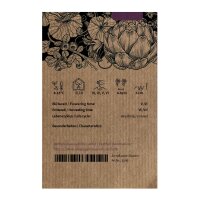 Pisello selvatico (Pisum sativum subsp. elatius) semi