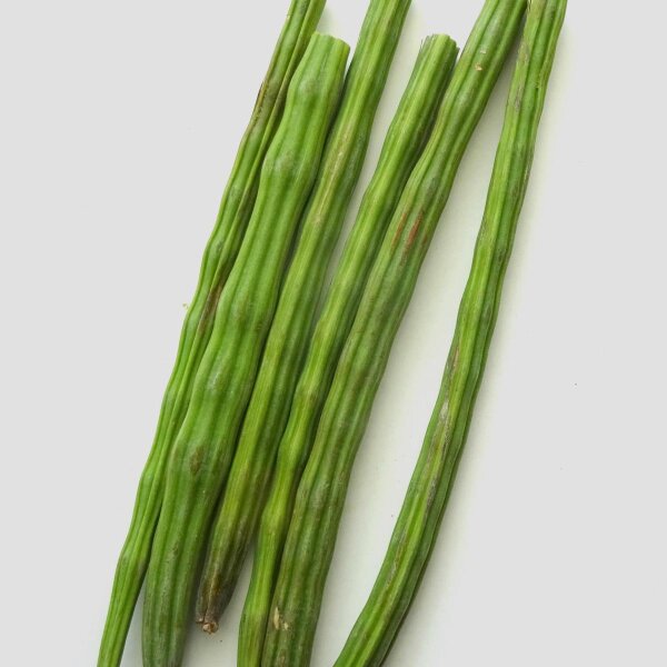 Moringa oleifera (Moringa oleifera) semi