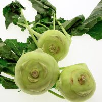 Cavolo rapa Superschmelz (Brassica oleracea var....