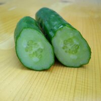 Cetriolo Tanja (Cucumis sativus) biologico semi