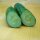 Cetriolo Tanja (Cucumis sativus) biologico semi