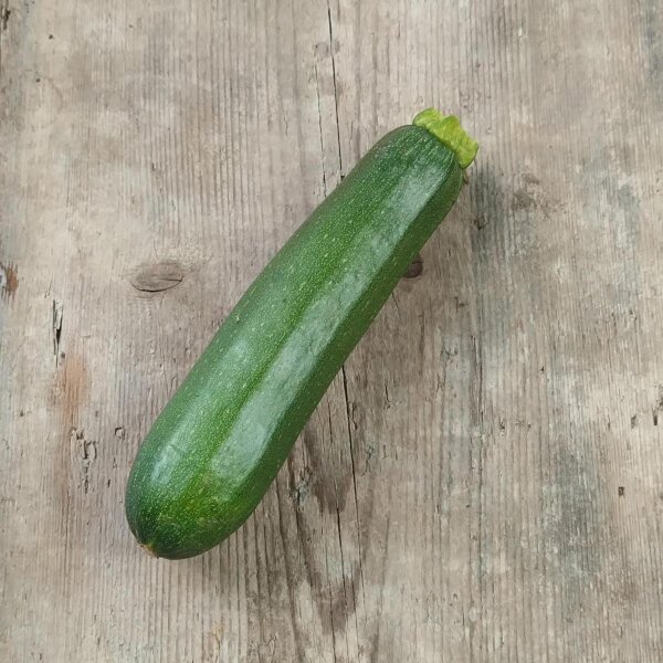 Zucchina Zuboda (Cucurbita pepo) biologica semi