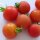 Pomodoro Matina (Solanum lycopersicum) biologico semi