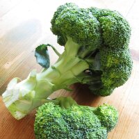 Broccolo Calabrese (Brassica oleracea)