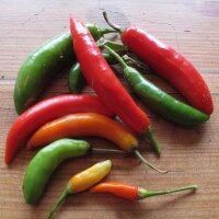 Peperoncino Tabasco (Capsicum frutescens) semi