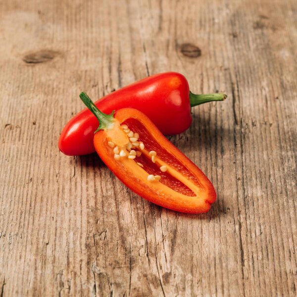 Peperoncino Jalapeño (Capsicum anuum) semi