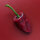 Peperoncino Poblano (Capsicum annuum) semi