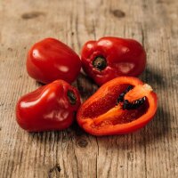 Peperoncino Rocoto (Capsicum pubescens) semi