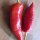 Peperoncino Hungarian Hot Wax (Capsicum annuum) biologico semi