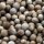 Coriandolo (Coriandrum sativum) semi