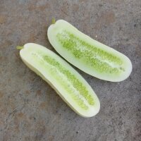 Cetriolo bianco White Wonder (Cucumis sativus) semi