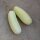 Cetriolo bianco White Wonder (Cucumis sativus) semi