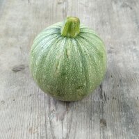 Zucchina tonda di Nizza (Cucurbita pepo) semi