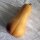 Zucca Waltham Butternut (Cucurbita moschata) semi