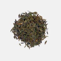 Cumino (Cuminum cyminum) semi