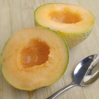 Melone Blenheim Orange (Cucumis melo)