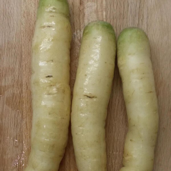 Carota bianca "Blanche à collet vert" (Daucus carota) semi