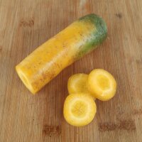 Carota gialla Jaune Du Doubs (Daucus carota) semi