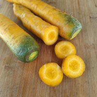Carota gialla Jaune Du Doubs (Daucus carota) semi
