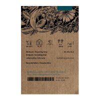 Echinacea (Echinacea angustifolia) semi