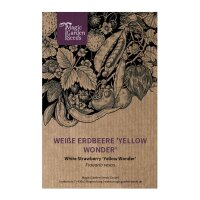 Fragola gialla Yellow Wonder (Fragaria vesca) semi
