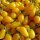Pomodoro ciliegino  Yellow Pear (Solanum lycopersicum) semi biologici
