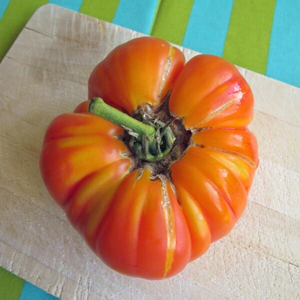 Pomodoro Ananas (Solanum lycopersicum) biologico semi