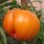 Pomodoro Ananas (Solanum lycopersicum) semi biologici
