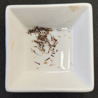 Kratom (Mitragyna speciosa) semi