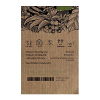Tabacco Mapacho (Nicotiana rustica) semi