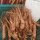 Ginseng (Panax ginseng) semi