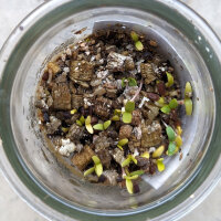 Ruta siriana (Peganum harmala) semi