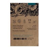 Salvia (Salvia officinalis) semi
