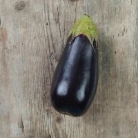 Melanzana Violetta lunga (Solanum melongena) semi
