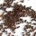 Timo comune (Thymus vulgaris) semi