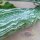 Cetriolo serpente (Trichosanthes cucumerina var. anguina) semi