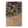 Favetta (Vicia faba) semi