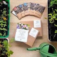Fräulein Grün – Organic Seed Kit Bee plants & medicinal herbs