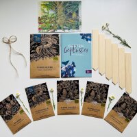 WildkrautLissi Seed kit: Herbal heroes