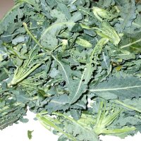 Broccolo Fiolaro (Brassica oleracea var. Italica) organic