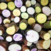 Miscela di antiche varietà di patate (Solanum...
