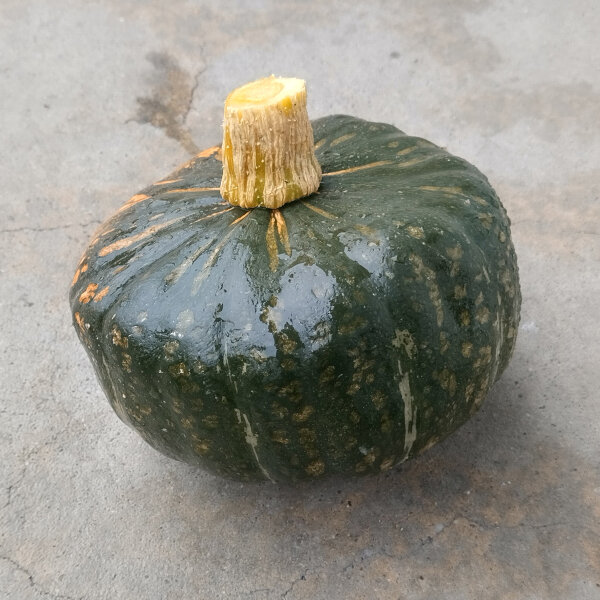 Zucca "Buttercup" (Cucurbita maxima)  semi