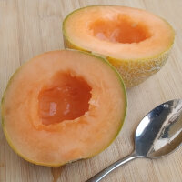 Melone Minnesota Midget (Cucumis melo)