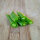 Pisello mangiatutto / Pisello mezza rama Delikett (Pisum sativum) semi