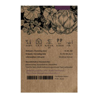 Cipolla De Barletta (Allium cepa) semi