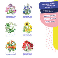 Arcobaleno di fiori - 6 miscele di fiori ad impollinazione aperta - spettacolari e colorati - set di semi per principianti