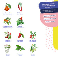 Chilis & Amici - 10 varietà di peperoncino e piante aromatiche ad impollinazione aperta - esotiche e piccanti - set di semi per principianti