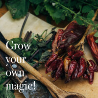 Chilis & Amici - 10 varietà di peperoncino e piante aromatiche ad impollinazione aperta - esotiche e piccanti - set di semi per principianti